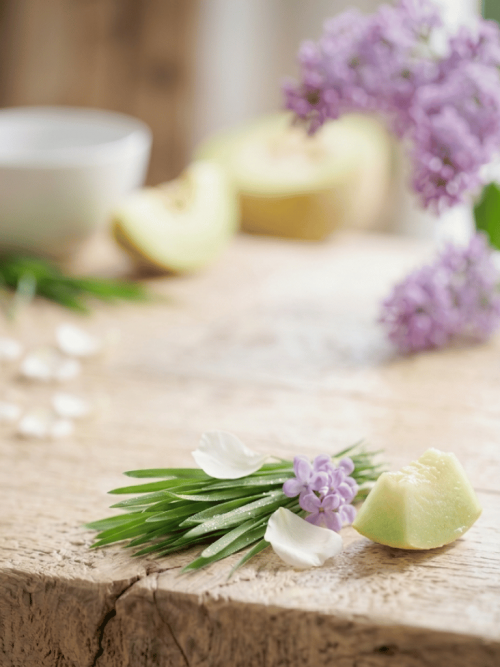 Una esencia seductora que combina el calor cremoso y exótico de la vainilla con un toque fresco cítrico y floral en su apertura. Notas irresistibles de chocolate y vainilla envuelven los sentidos, creando un ambiente cálido, confortable y lleno de placer.