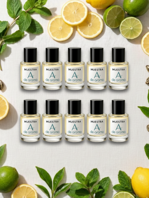 CAJA DE MUESTRAS — Cítricas y Herbales (5ml)